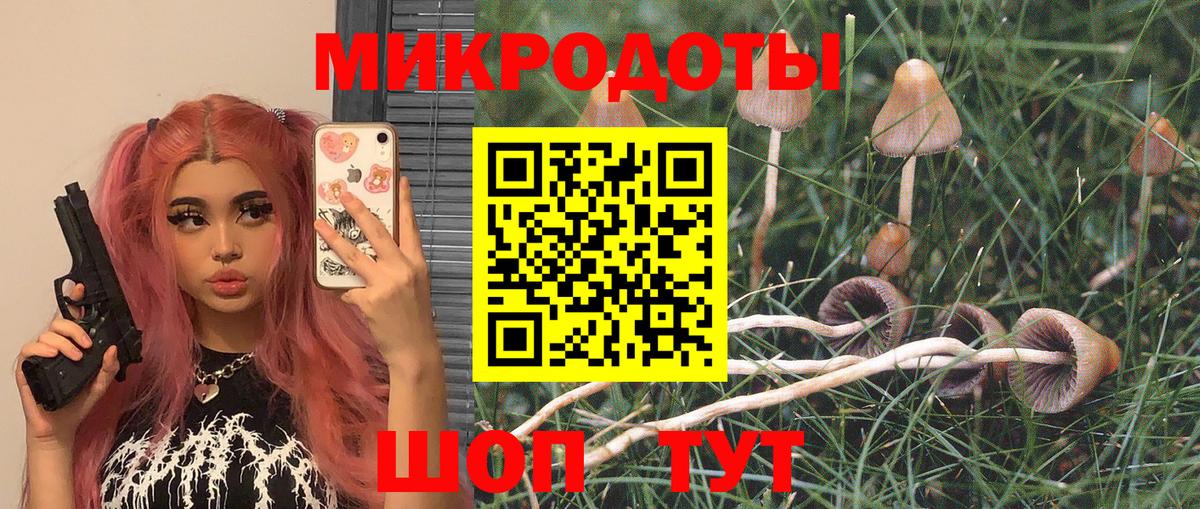 Оренбург  купить закладку  Галлюциногенные грибы мухоморы  Вход с VPN  Галлюциногенные грибы Cubensis 